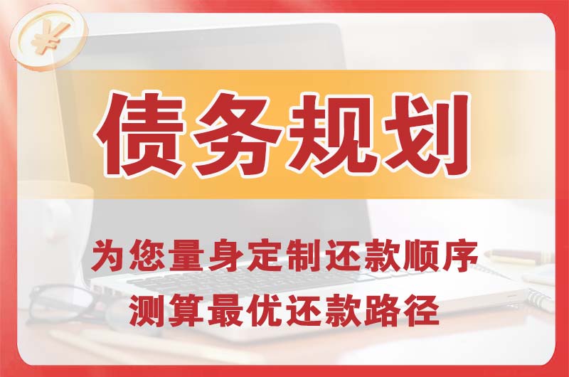 徐水债务规划